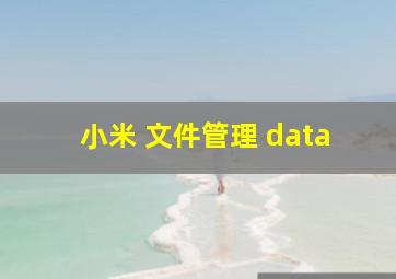 小米 文件管理 data